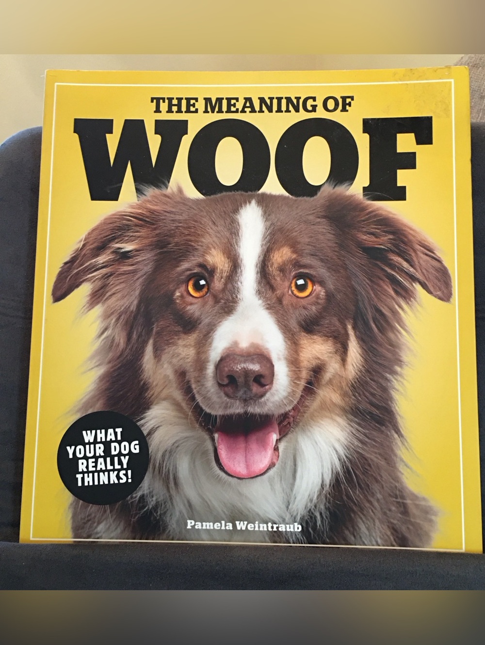 The Meaning of Woof - Dog Book by Pamela Weintraub